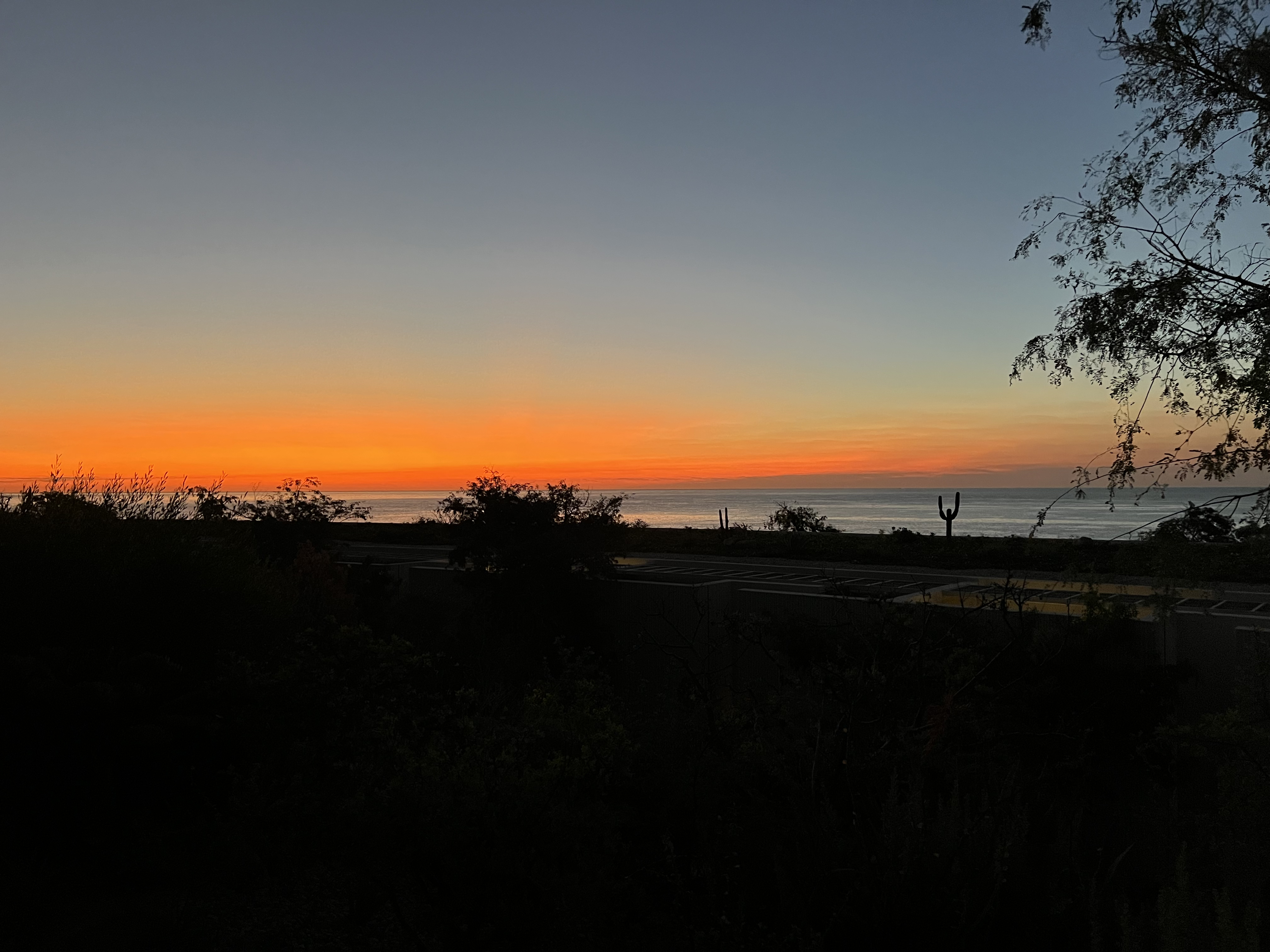 ./2024/13 - Cabo/IMG_4909.jpg